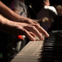 /album/bildgalleri-startsida/a882211-501508643228780-1892325194-o-jpg/